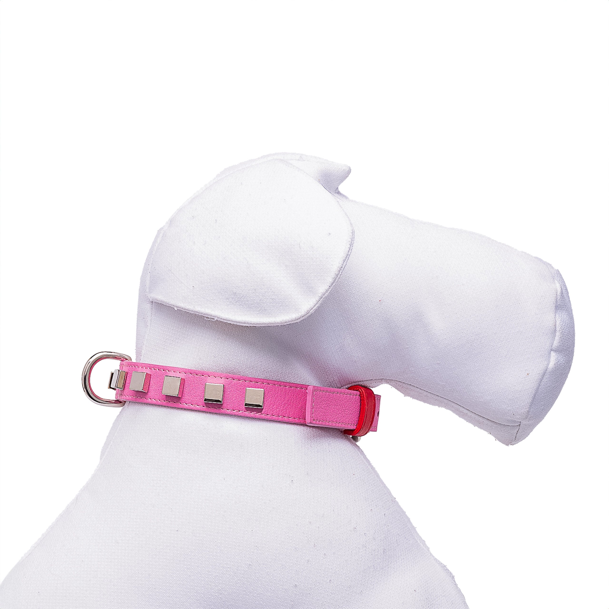 Collier pour chien design – idéal pour petits & moyens chiens