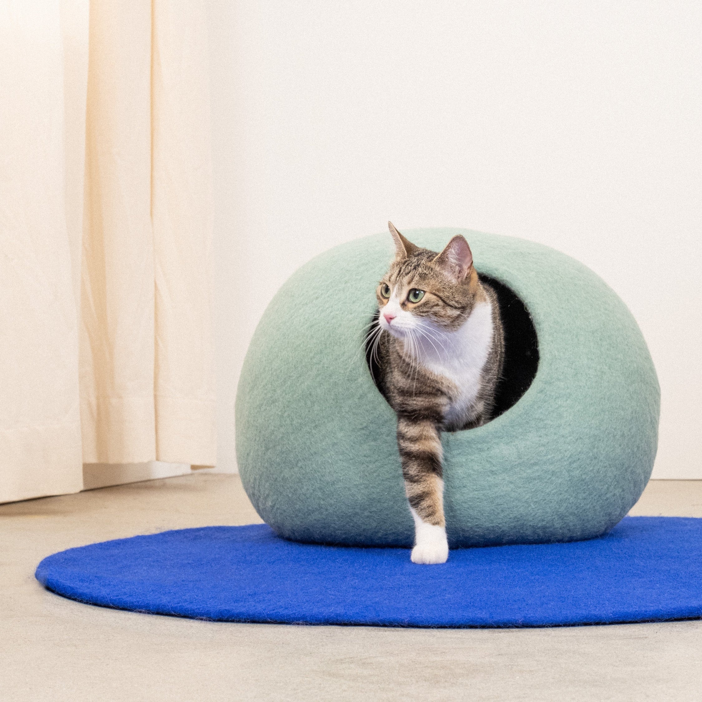 Fine – Grotte pour Chat en Laine Feutrée
