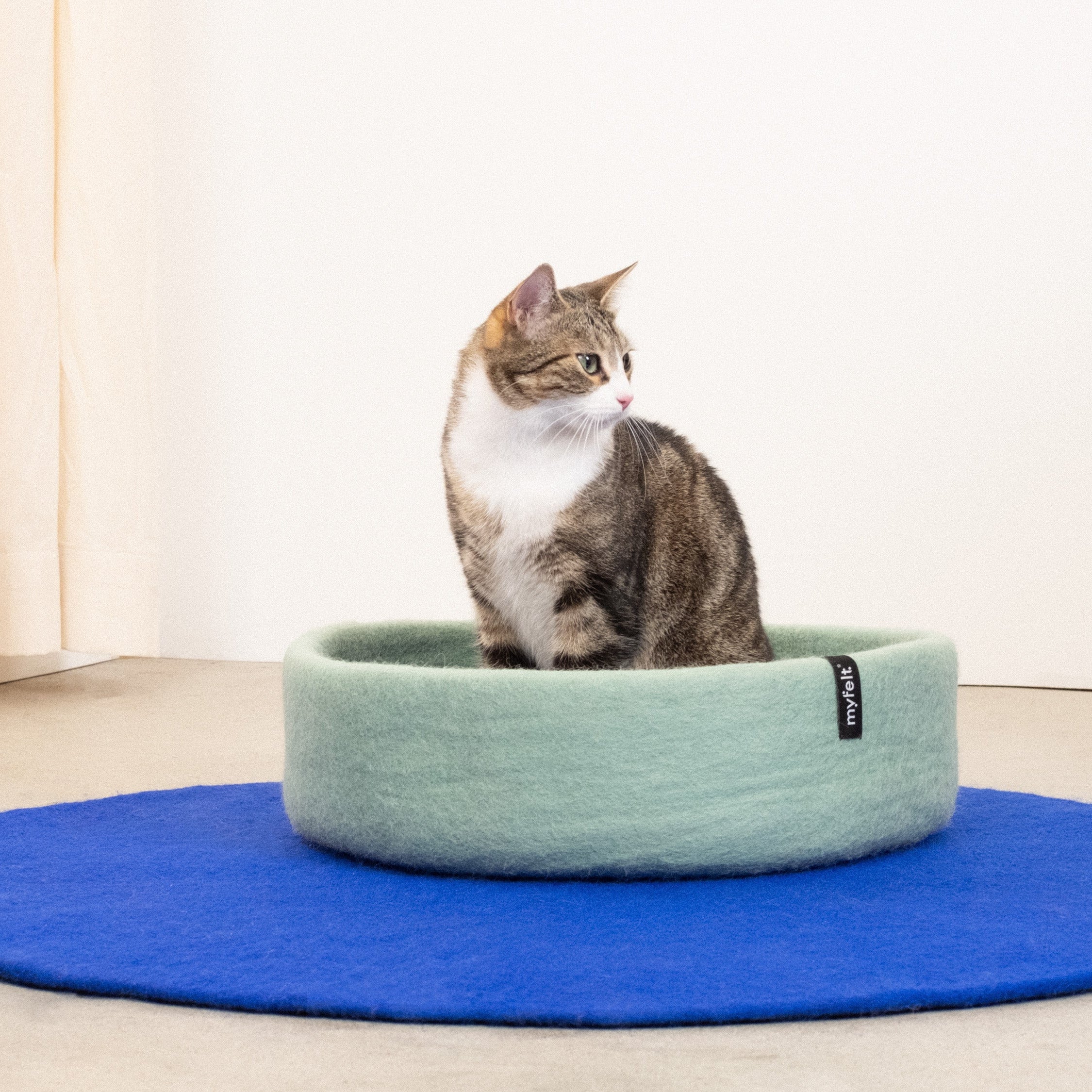 Fine – Panier pour Chat en Laine Feutrée