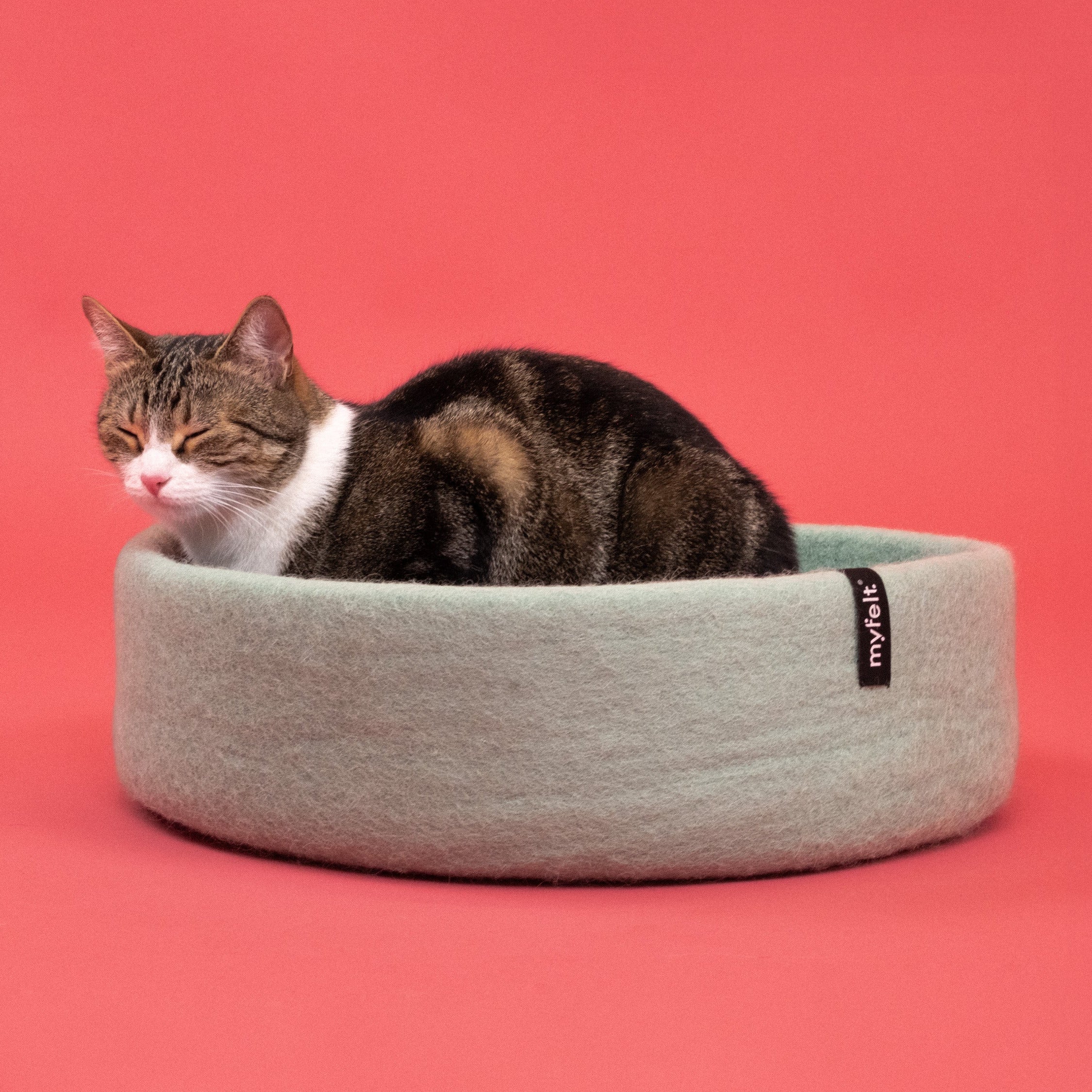 Fine – Panier pour Chat en Laine Feutrée