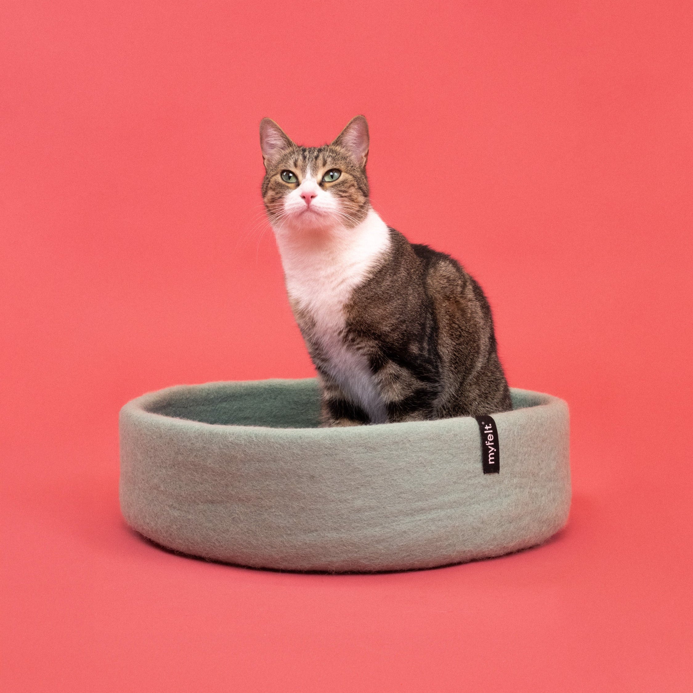 Fine – Panier pour Chat en Laine Feutrée