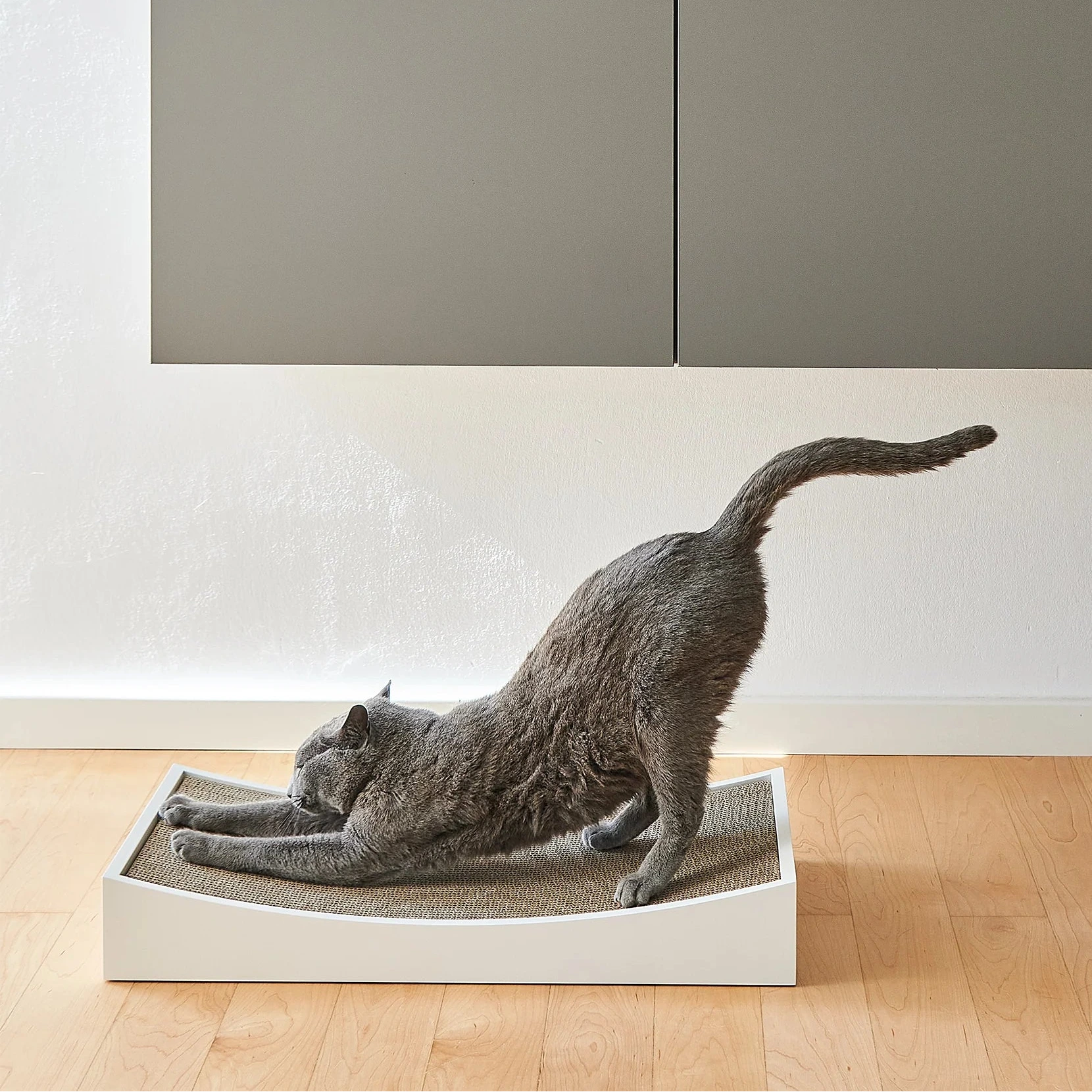 Gratta – Griffoir design et durable