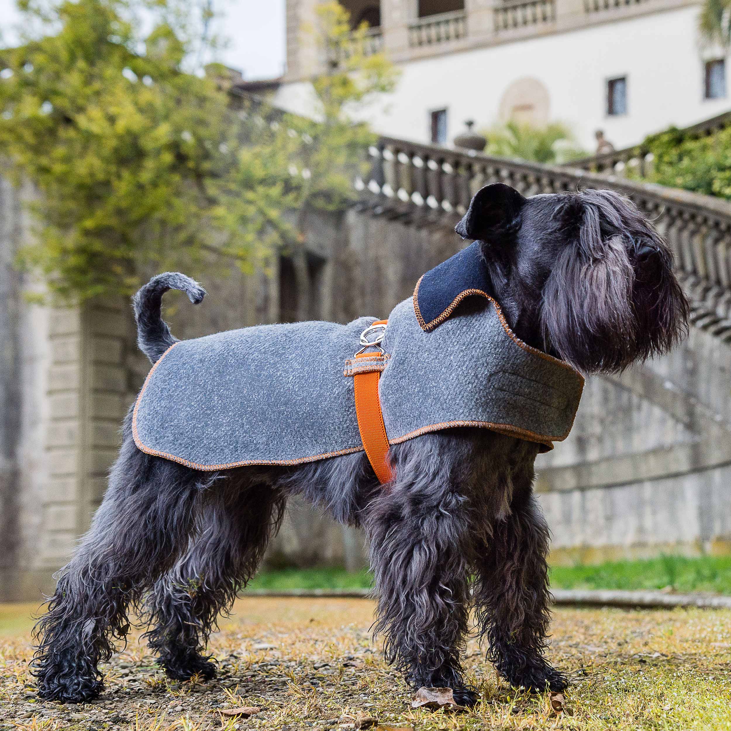 GREY&NAVY-ORANGE