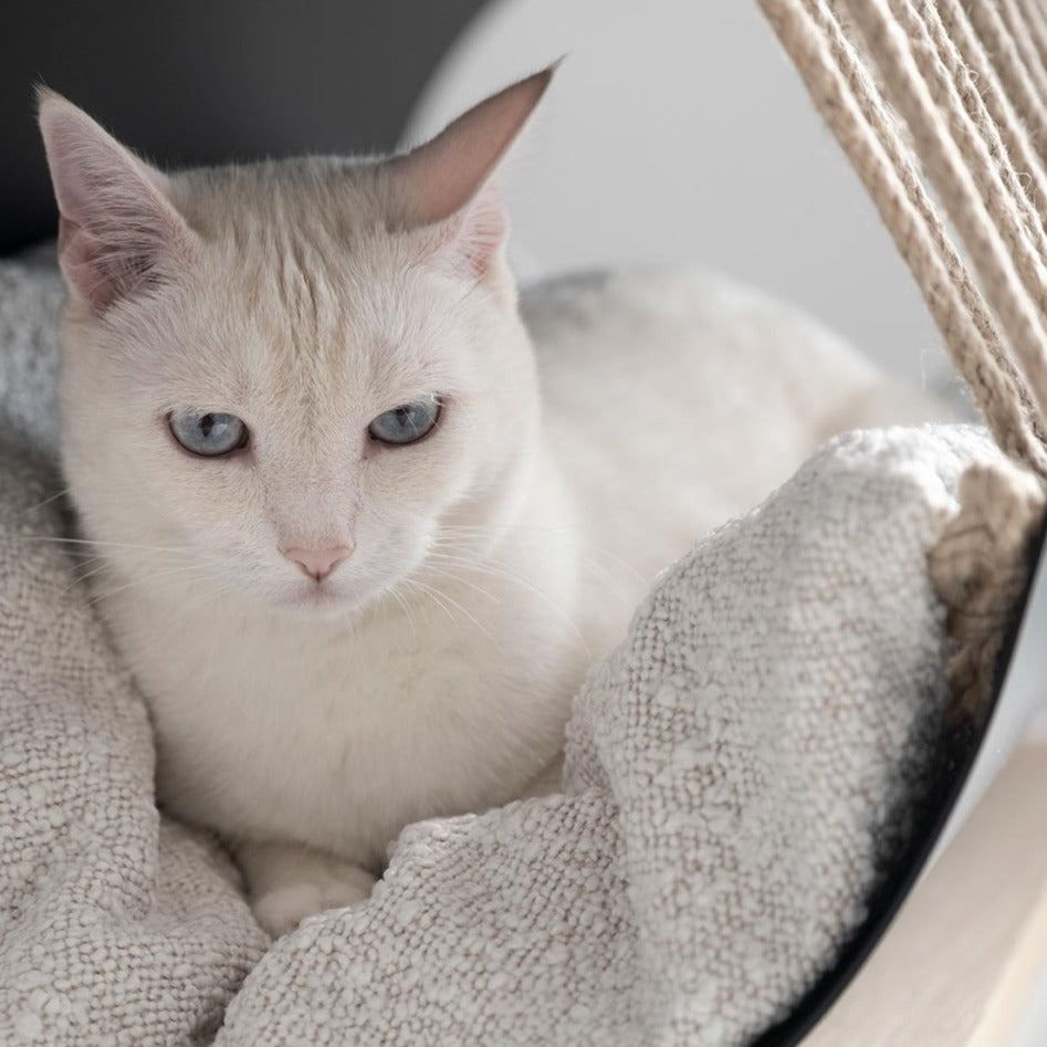 Panier Luxe et Design pour Chat | TUBO - Lozamo