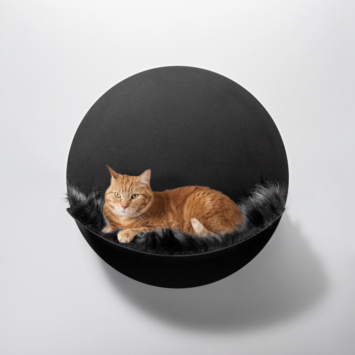 Hamac Mural pour Chat | Lozamo - WL 110