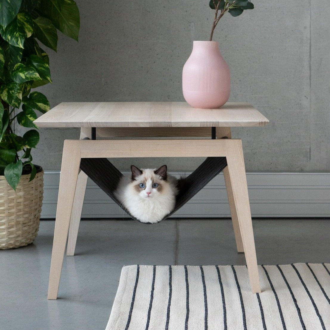 Table et Hamac pour Chat - KIKKO