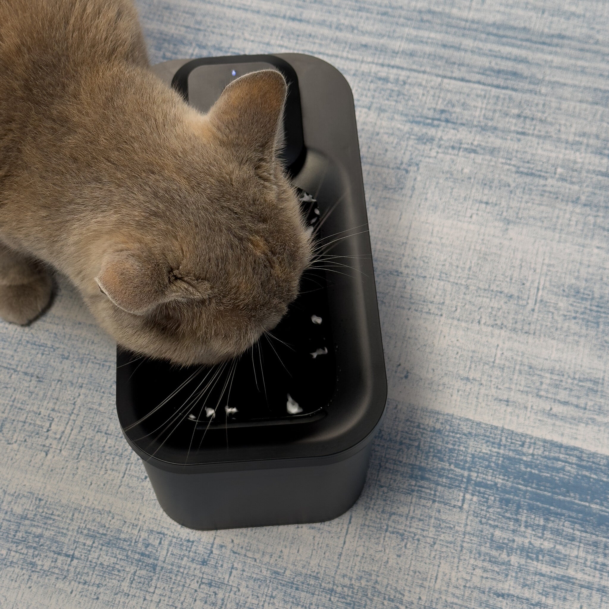 Hydr – Fontaine à eau sans fil design