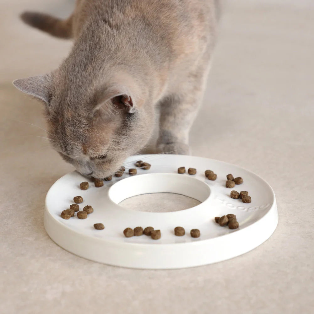 Gamelle design anti-glouton – intérieur moderne