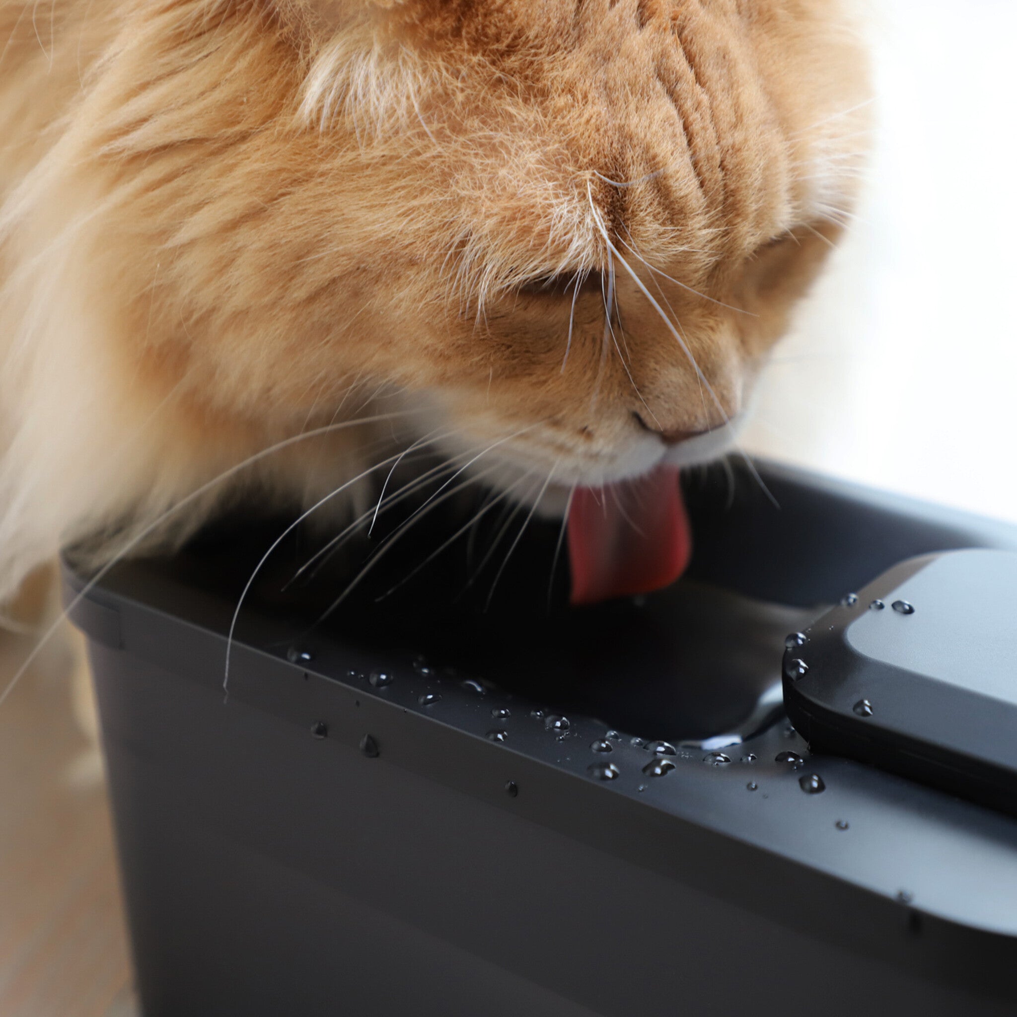 Hydr – Fontaine à eau sans fil design