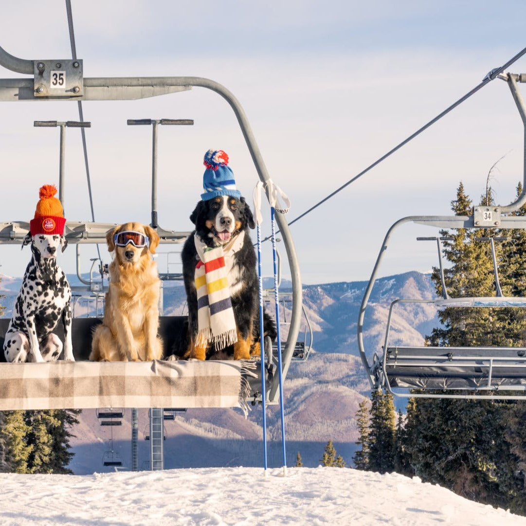 CHAIRLIFT PUPS ASPEN