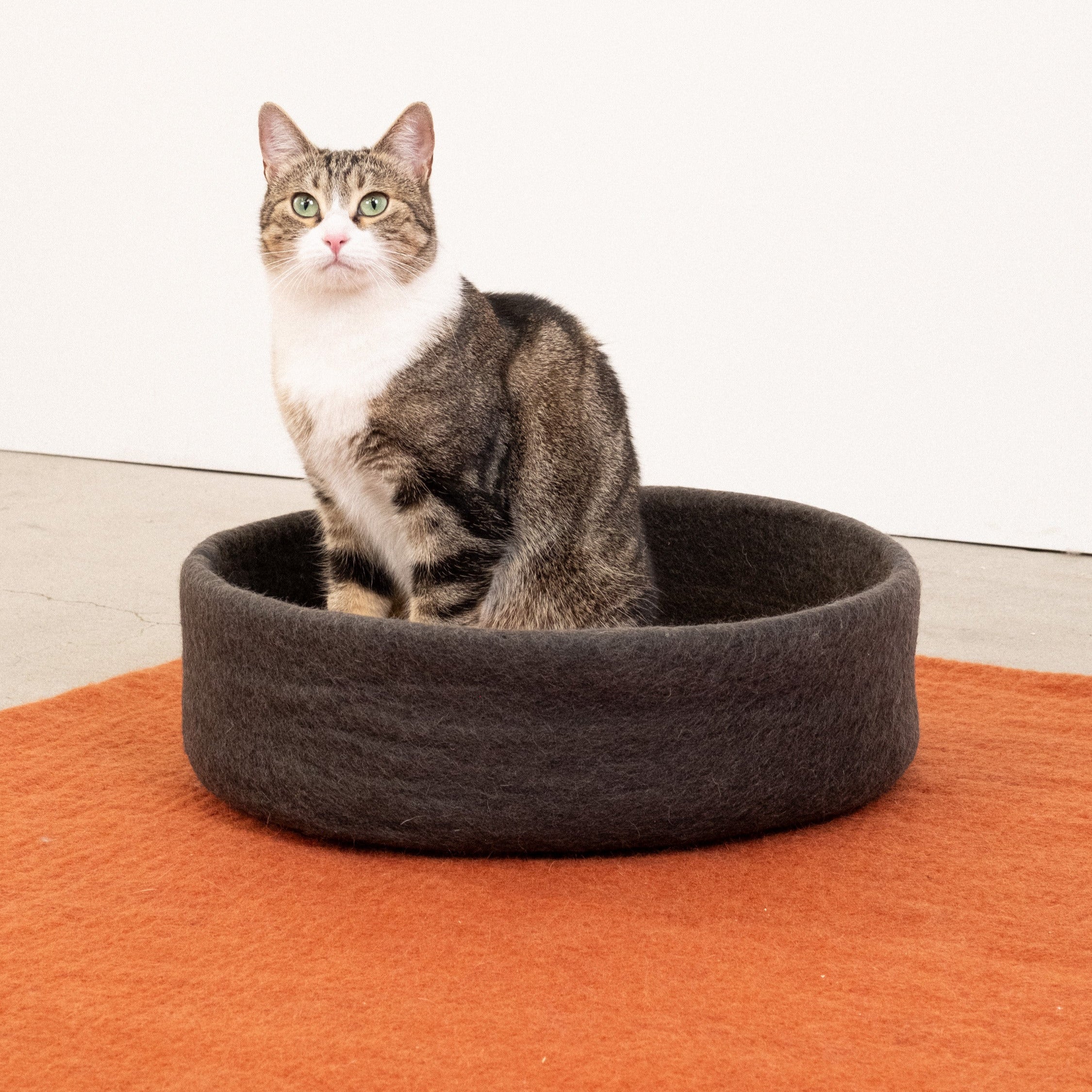 Kuno – Panier pour Chat en Laine Feutrée