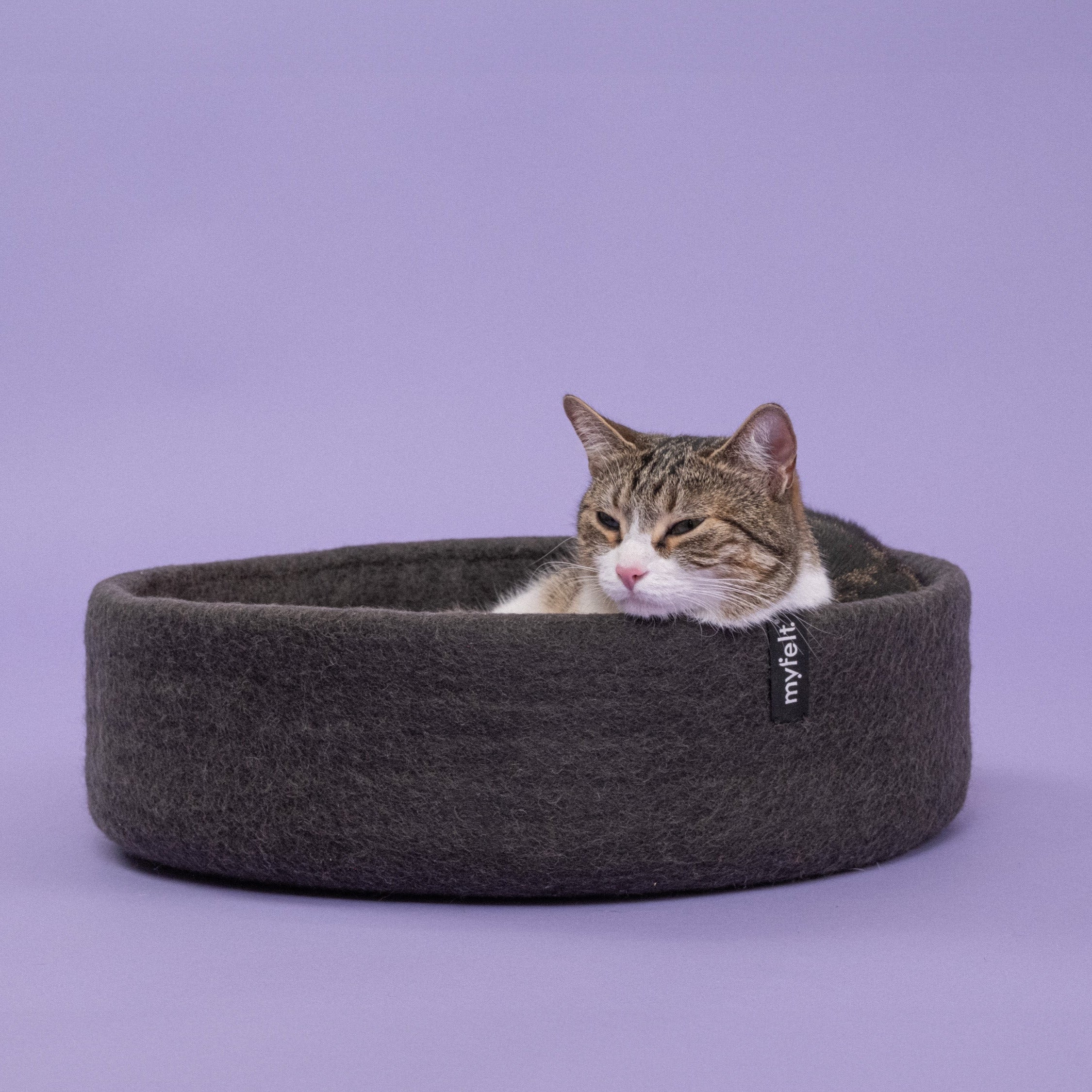 Kuno – Panier pour Chat en Laine Feutrée