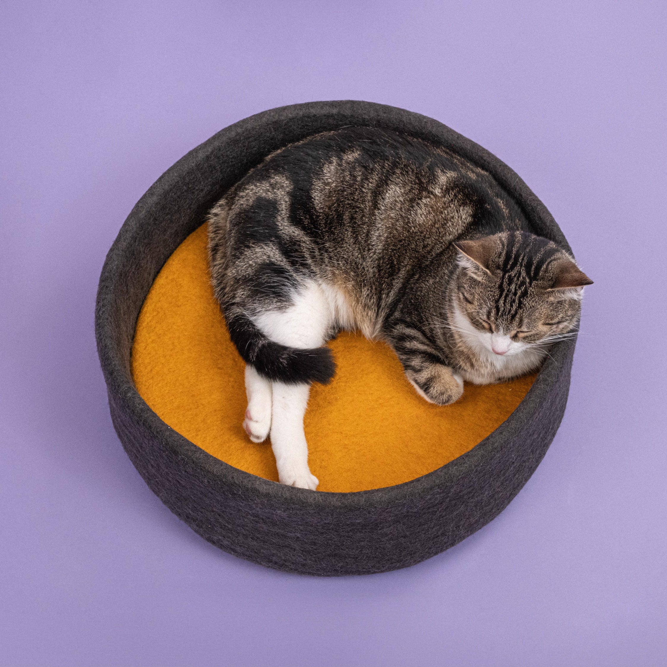 Kuno – Panier pour Chat en Laine Feutrée