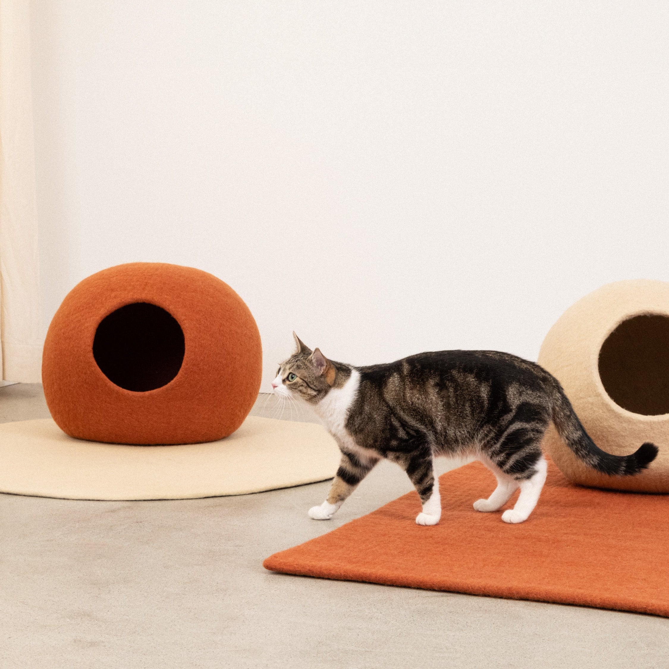Lora – Grotte pour Chat en Laine Feutrée