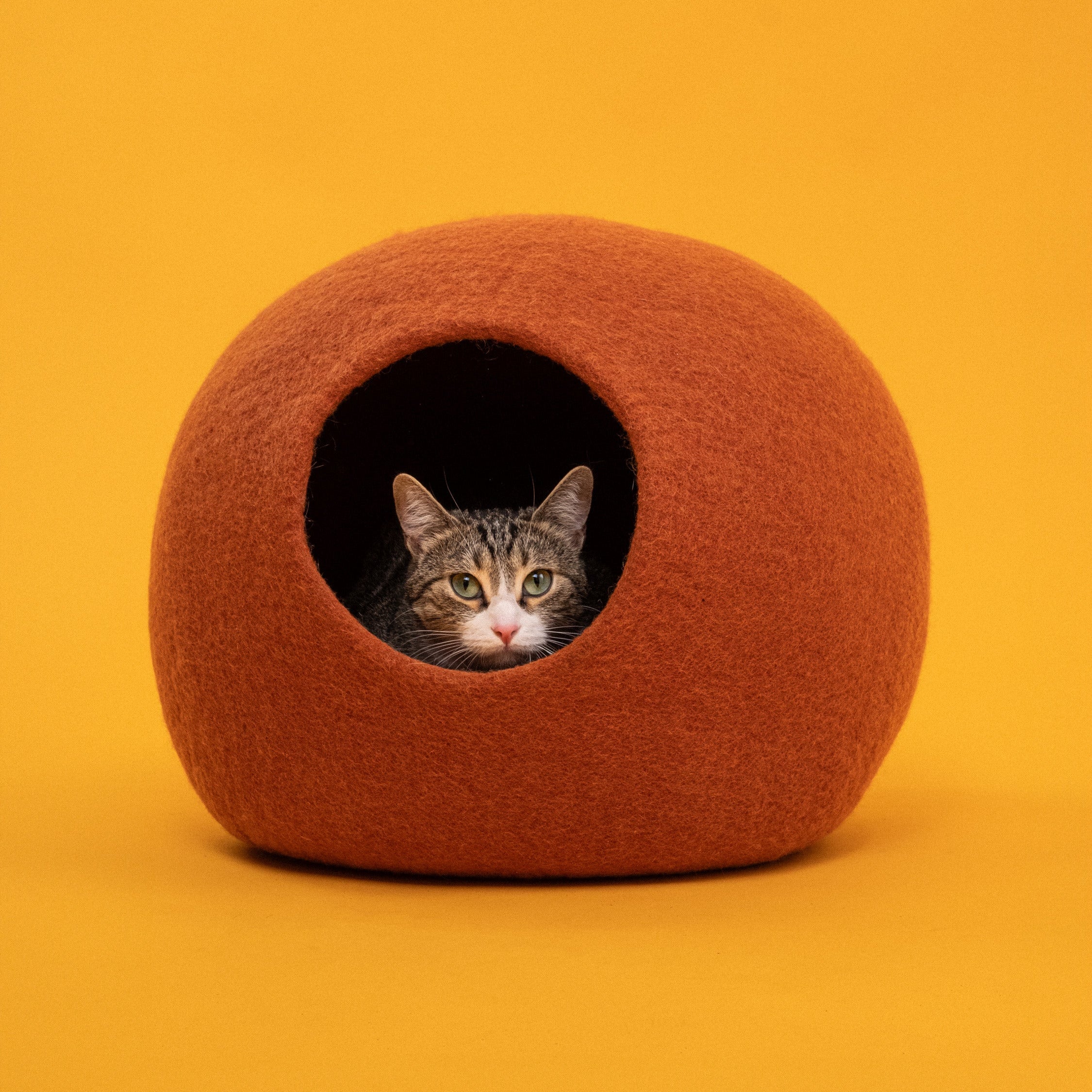 Lora – Grotte pour Chat en Laine Feutrée