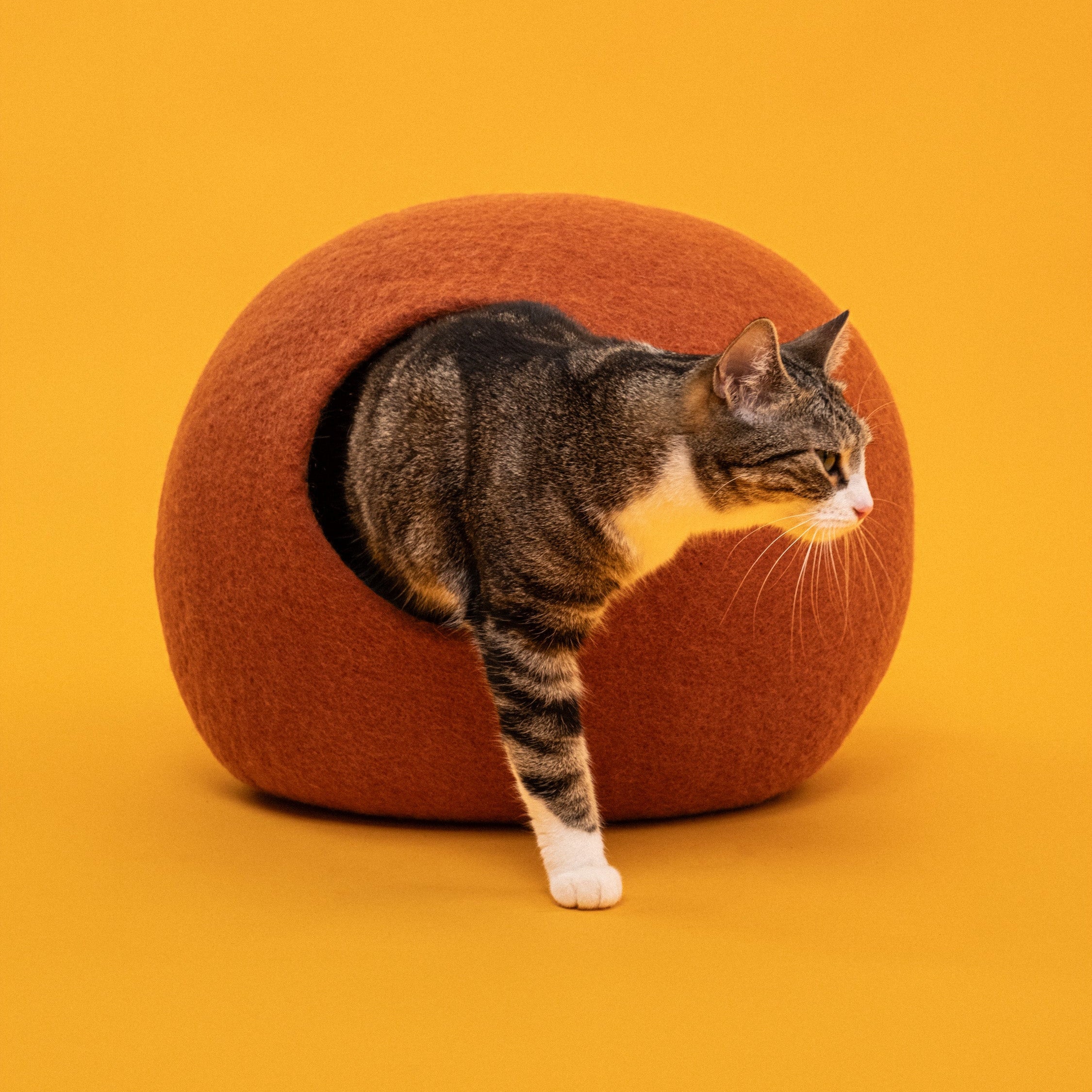 Lora – Grotte pour Chat en Laine Feutrée