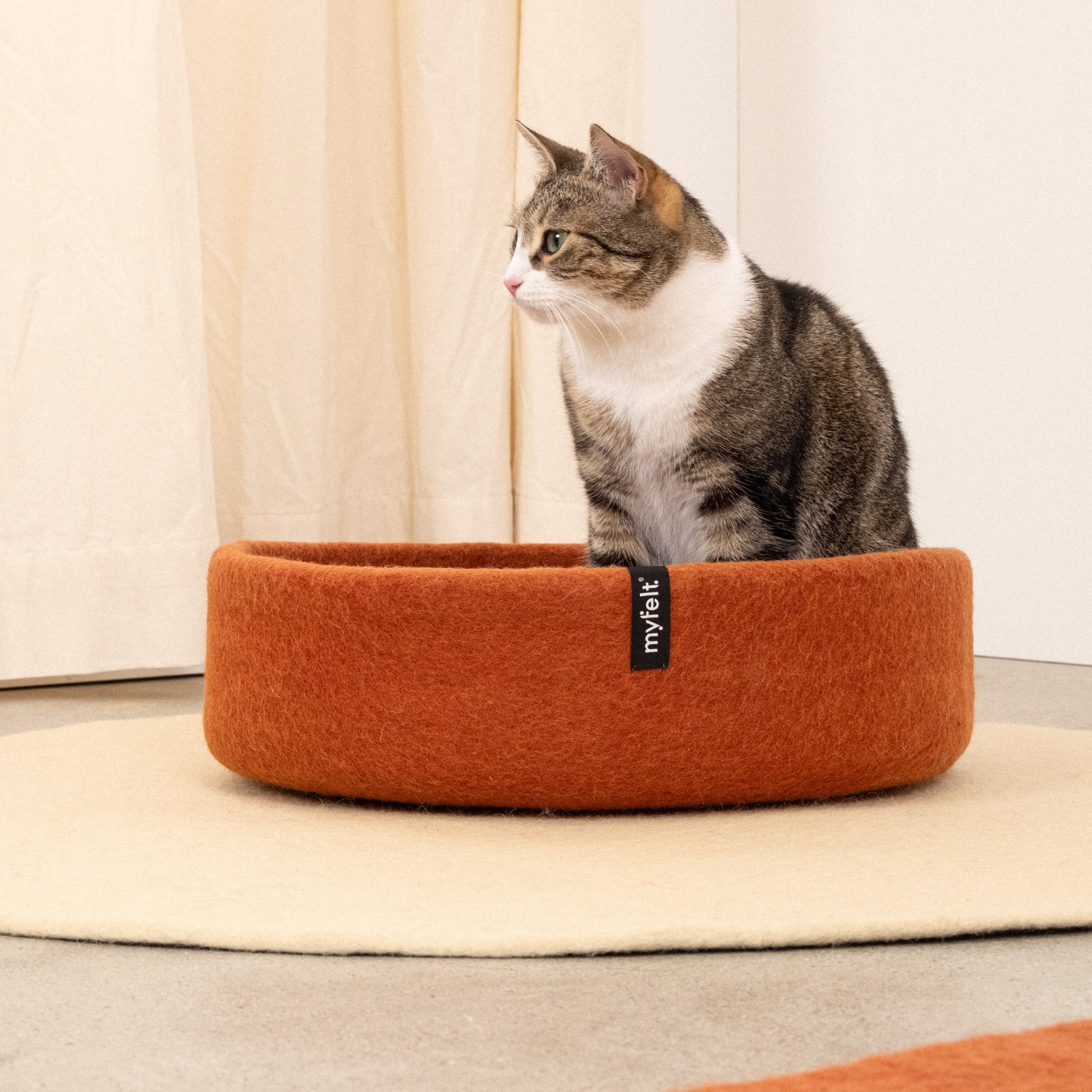 Lora – Panier pour Chat en Laine Feutrée
