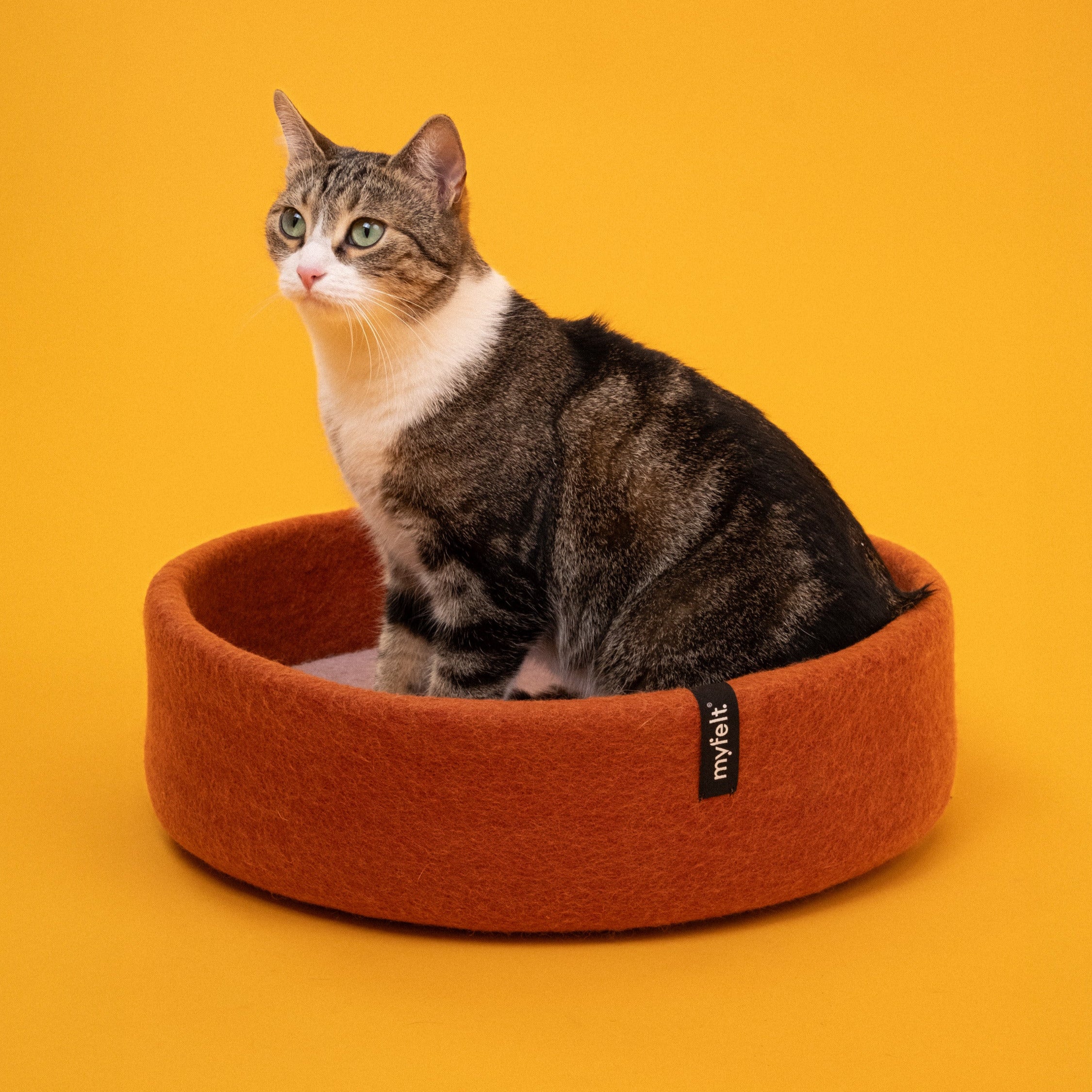 Lora – Panier pour Chat en Laine Feutrée