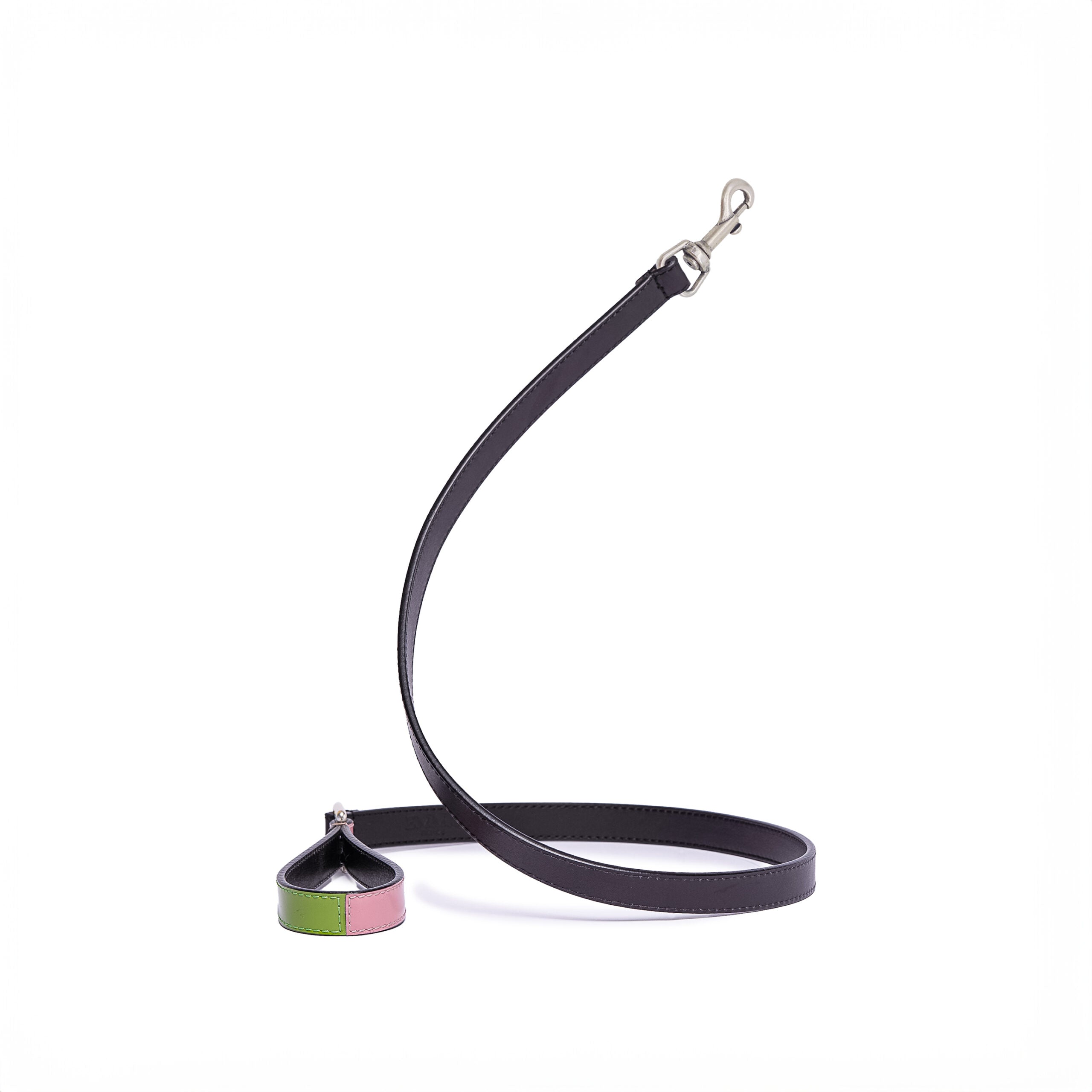 Laisse chien luxe colorée – finition brillante haut de gamme