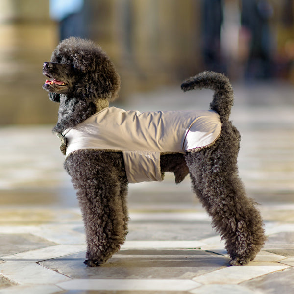 KNIT-RAINCOAT