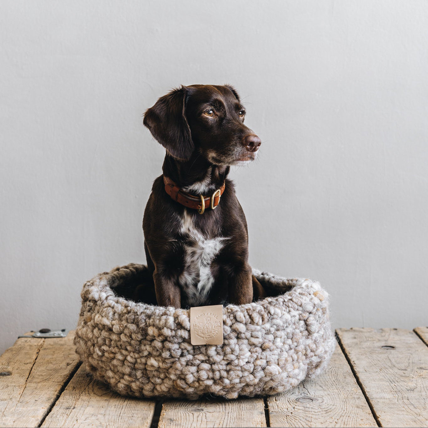 Panier pour Chien en laine Design | Fabrication artisanale - NEST Beige