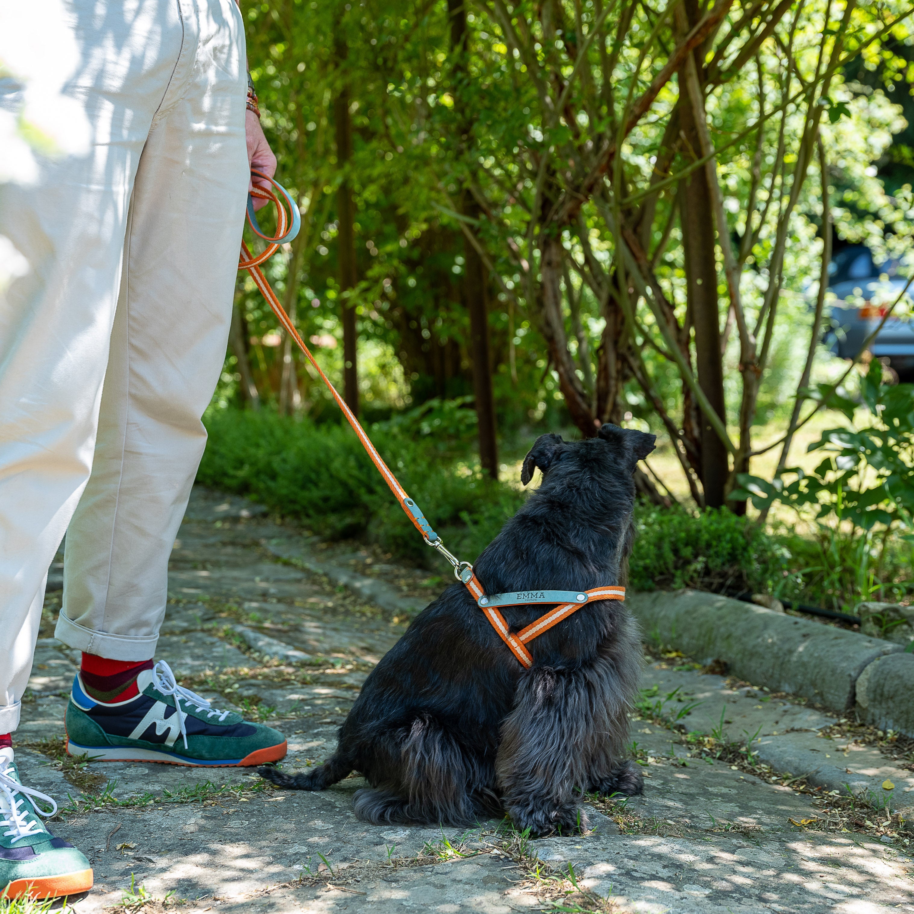NUBUCK CELESTIAL-HARNESS