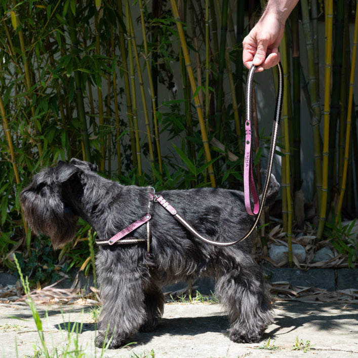 NUBUCK FUCHSIA-HARNESS