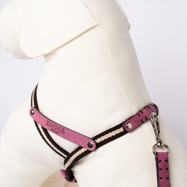 NUBUCK FUCHSIA-HARNESS