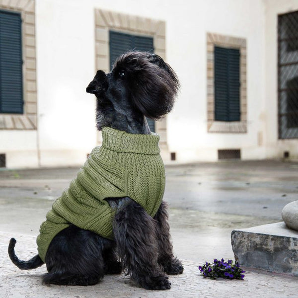 Pull pour Chien en laine sur Mesure | Luxe et Raffinement