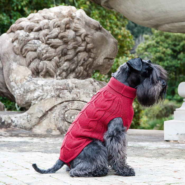 Pull Polaire pour Chien sur Mesure | Luxe et Raffinement - FREDDO Red