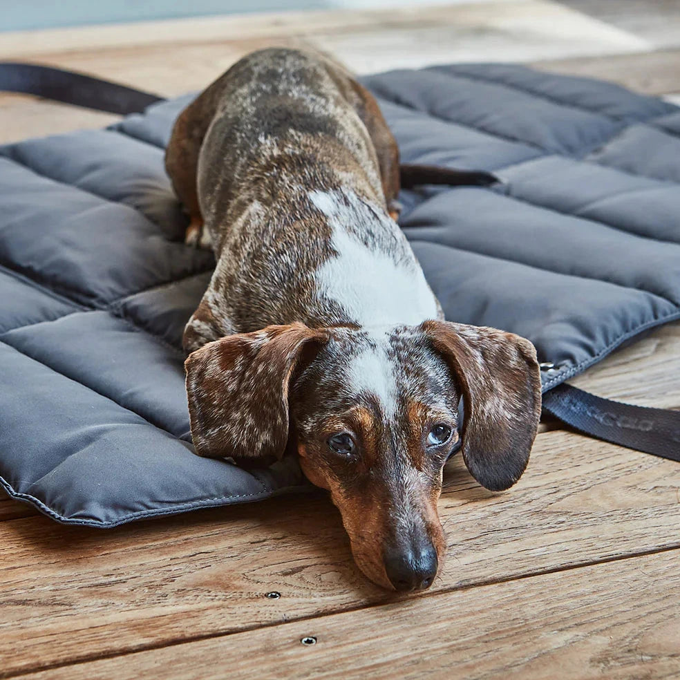 Tapis de voyage pour chien en polyester recyclé Strada