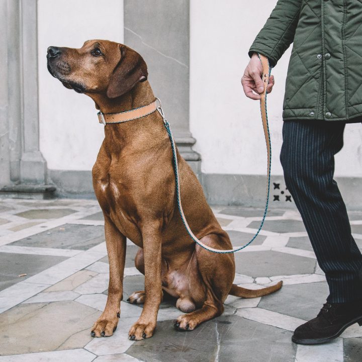 SKY BLUE CROSS Leash