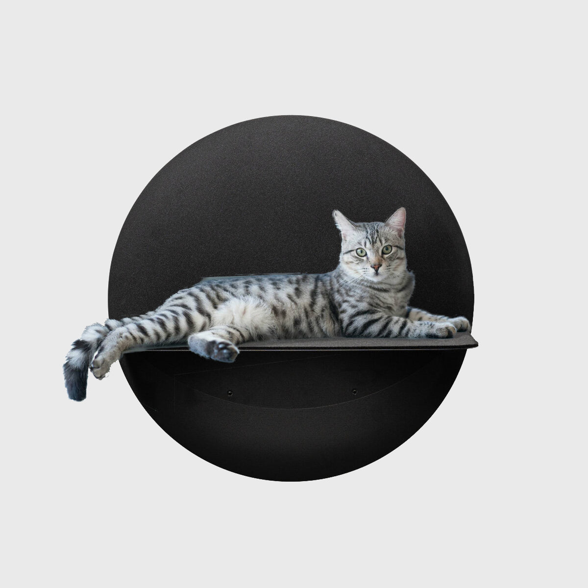 Panier mural pour Chat | Luxe et Design - WL 120