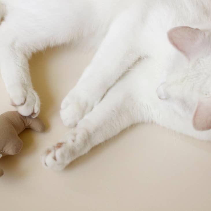 Jouet pour Chat | Croissant avec herbe à Chat