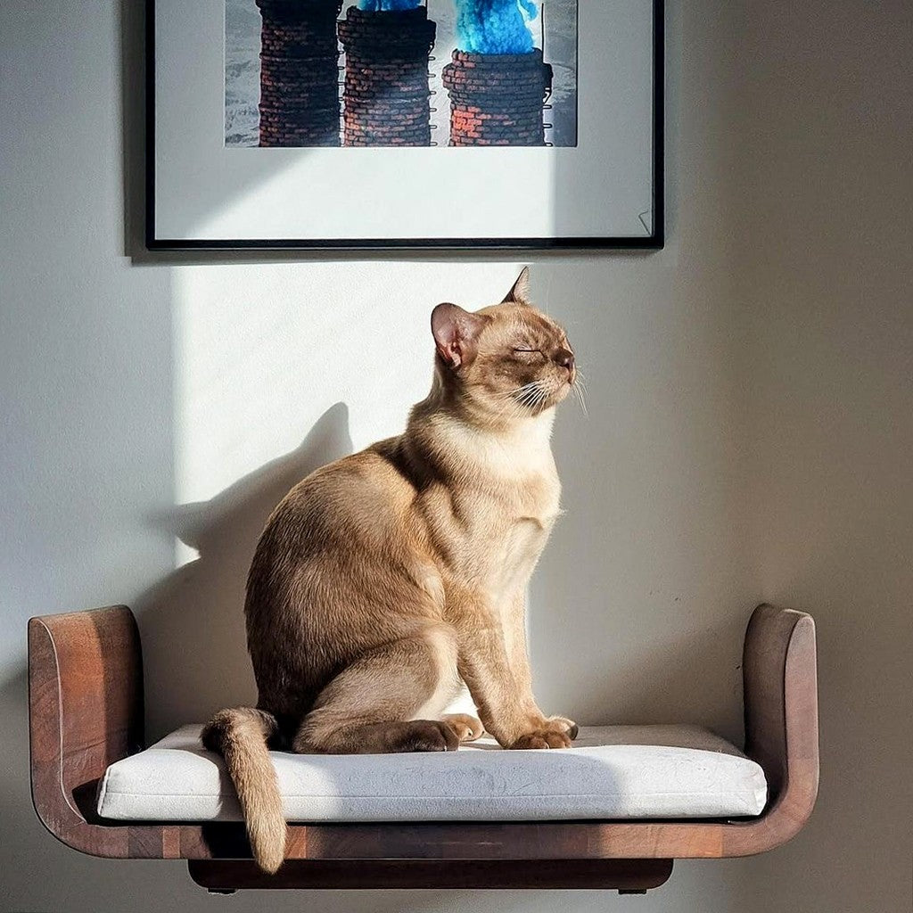 Panier mural pour Chat - VIEW