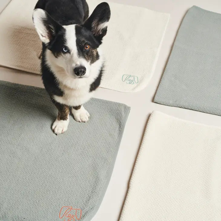 PAW organic cotton