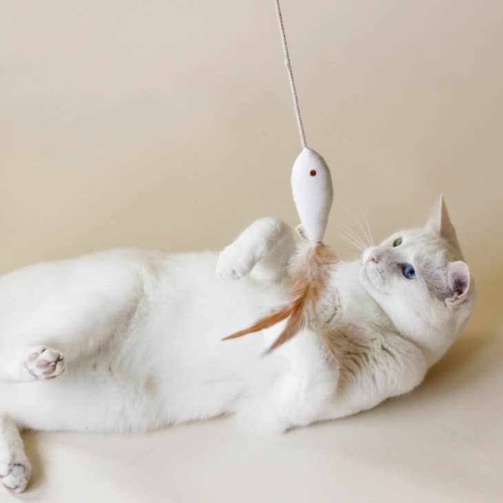 Jouet pour Chat | 3 jouets avec herbe à Chat - INDOOR FISHING