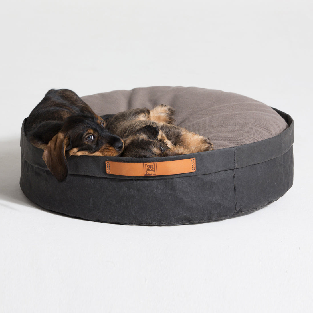 IRVING - Panier pour chien éco-responsablePanier pour Chat et Chien Design - IRVING