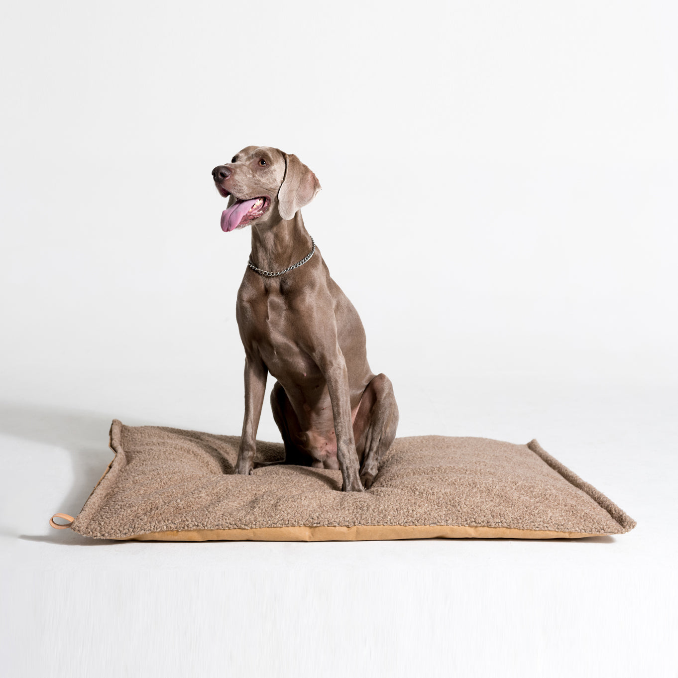 Tapis de voyage pour Chien | Luxe et Design - RICHARD