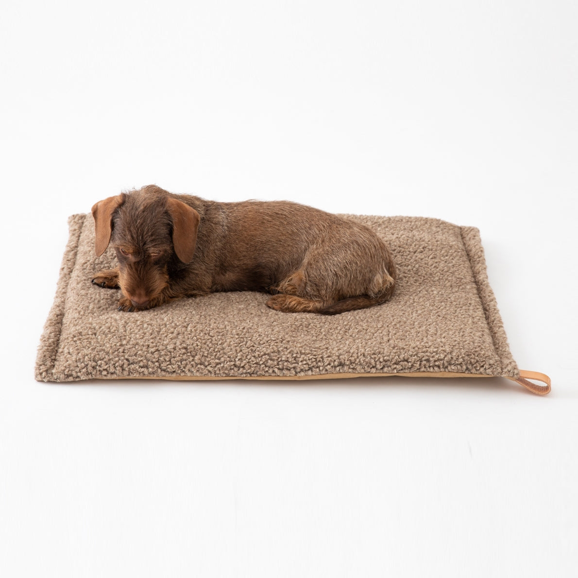 Tapis de voyage pour Chien | Luxe et Design - RICHARD
