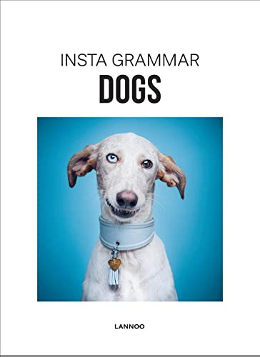 Instagram Grammar Dogs