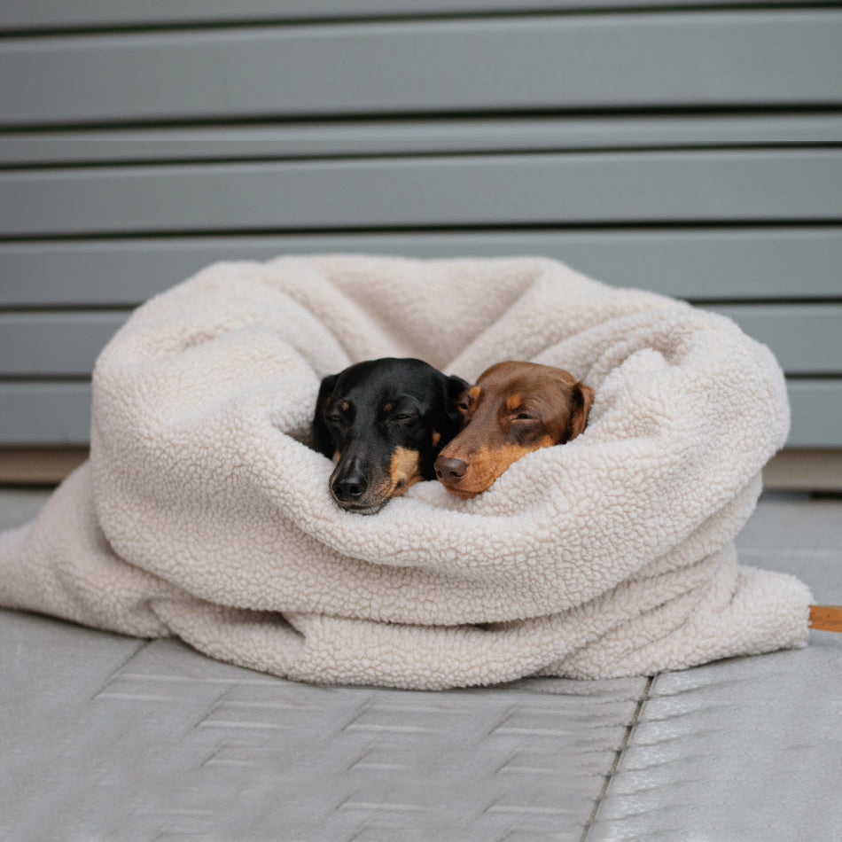 Plaid Cocoon pour Chien | Fabriqué à la main - TEDDY Cream