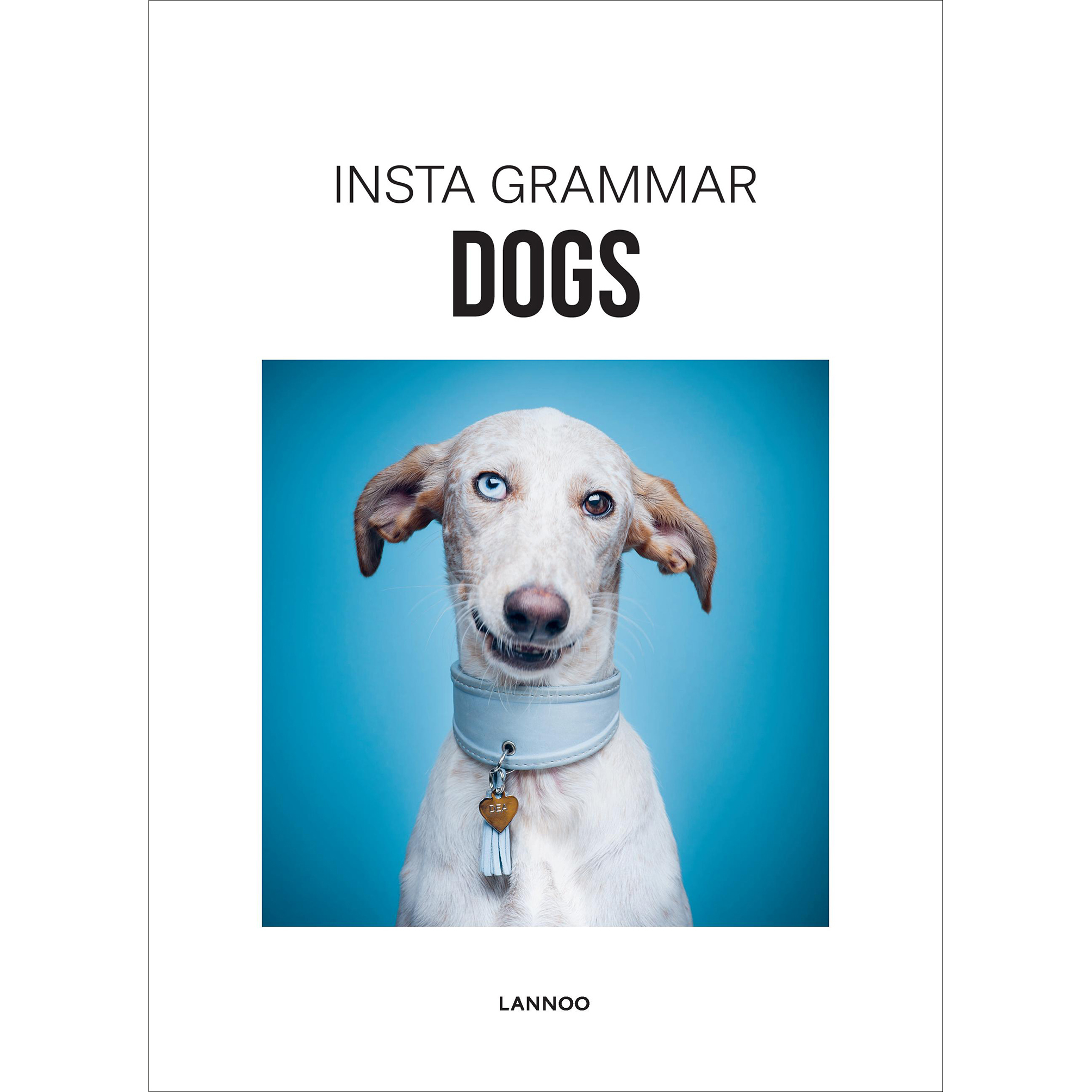 Instagram Grammar Dogs