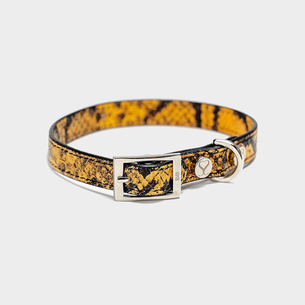 Collier pour Chien en Cuir motif Python| TAYLOR - Luxe et Prestige