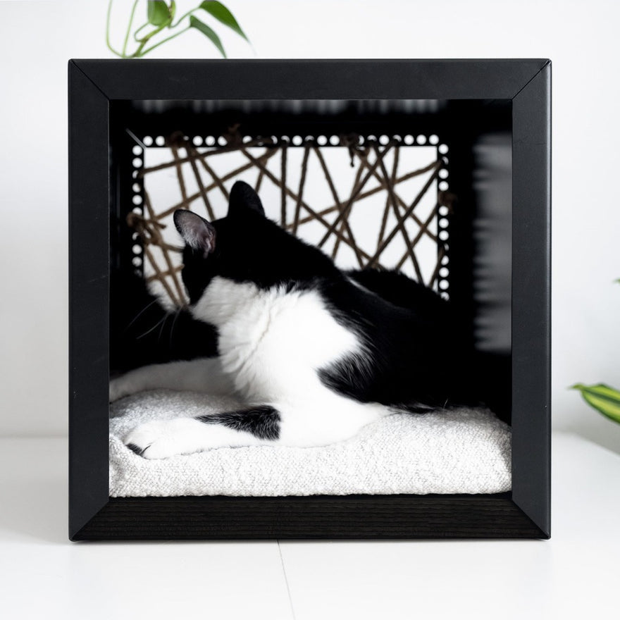 Panier pour Chat Cube | Luxe et Design - CUBA Noir