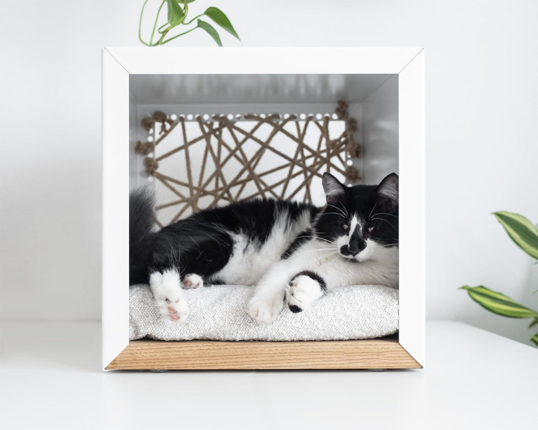 Panier pour Chat Cube | Luxe et Design - CUBA Blanc