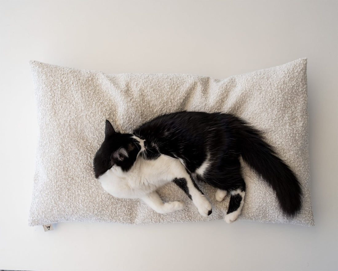 Coussin pour Chat - TUBO coussin