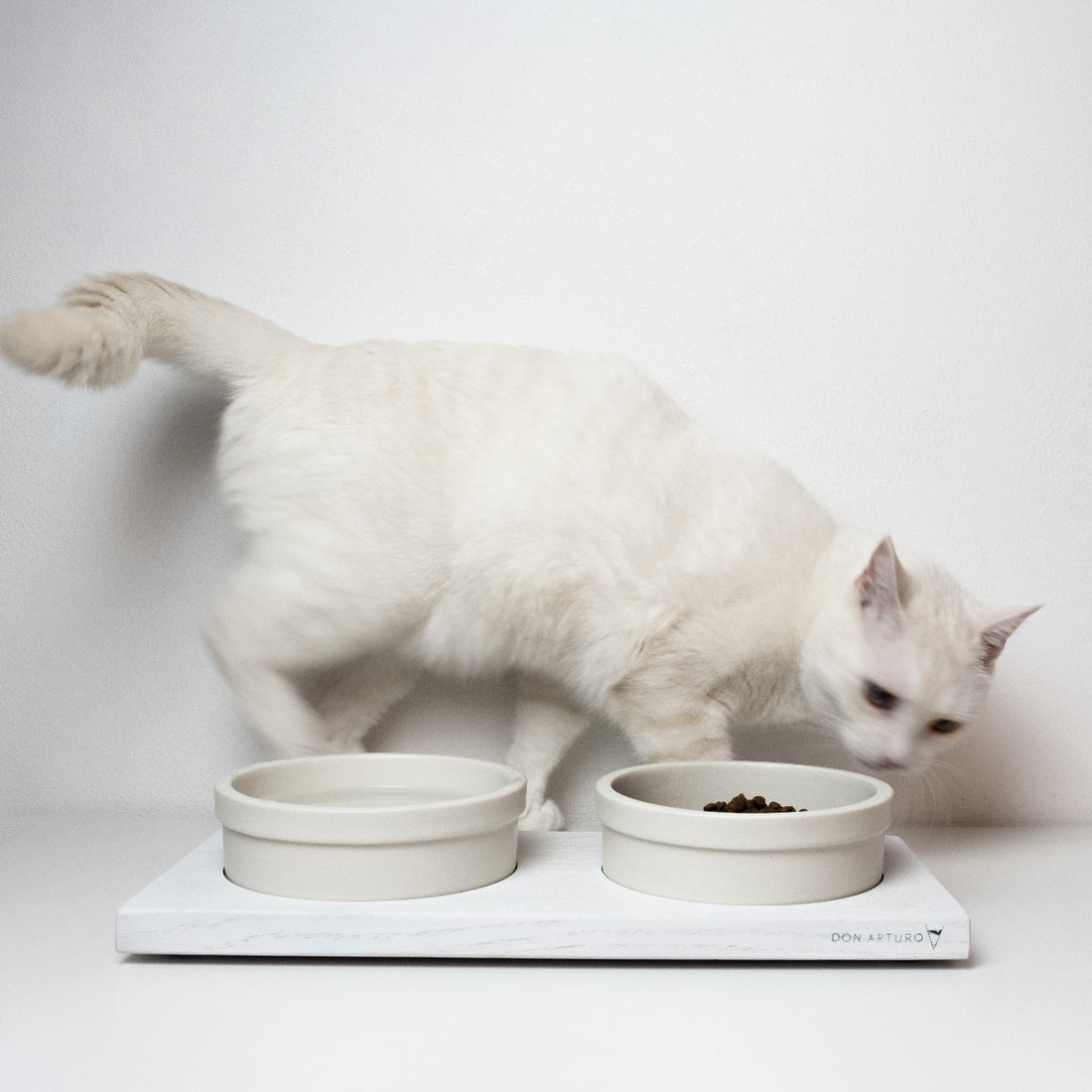 Double Gamelle pour Chat - TECCÀ T²