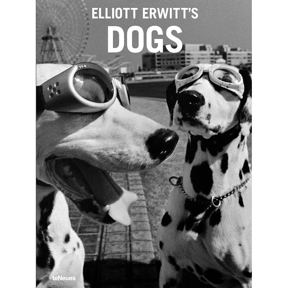 DOGS