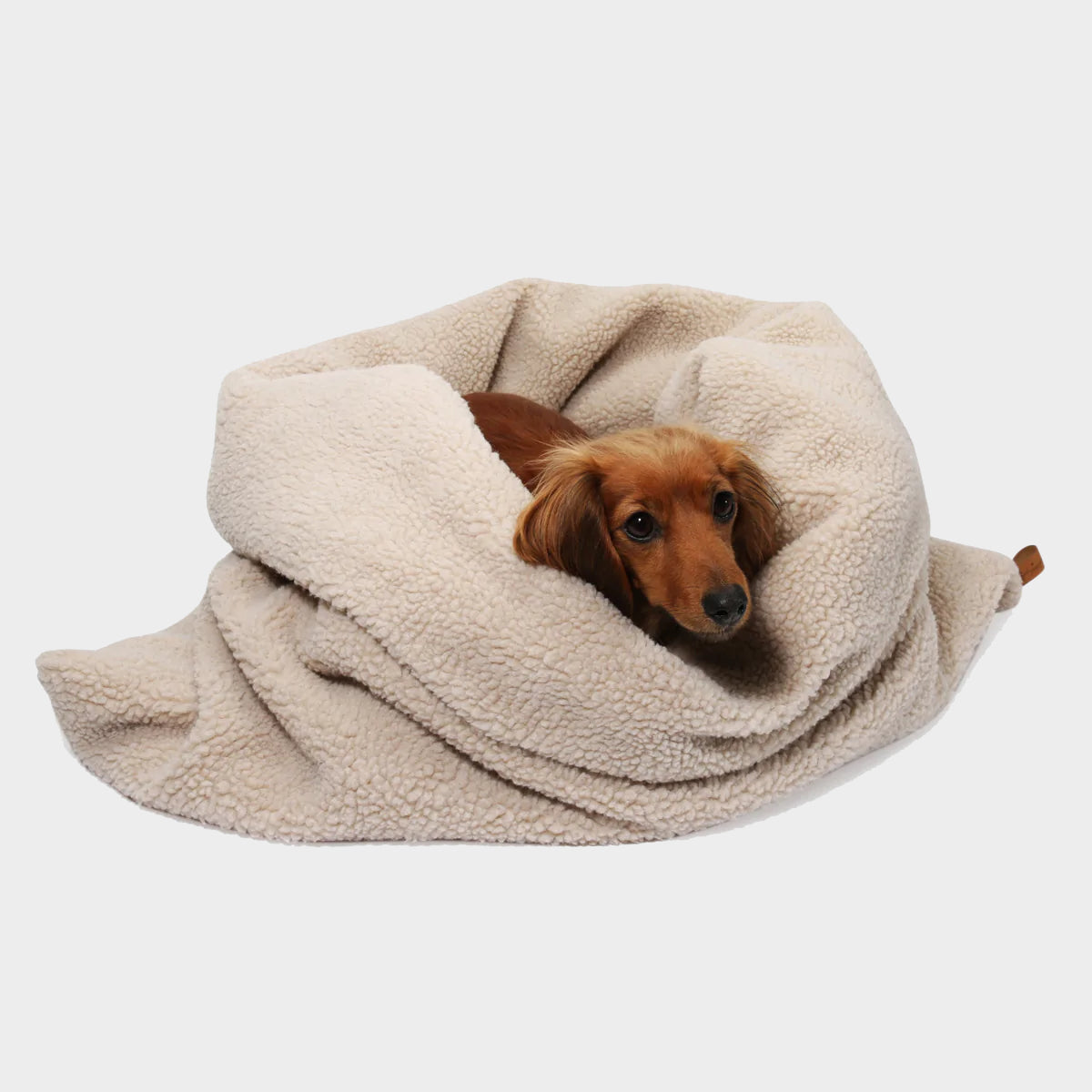 Plaid Cocoon pour Chien | Fabriqué à la main - TEDDY Cream